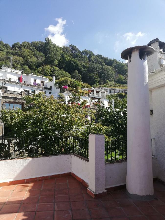 Apartamentos Cerro Negro 卡皮雷拉 外观 照片
